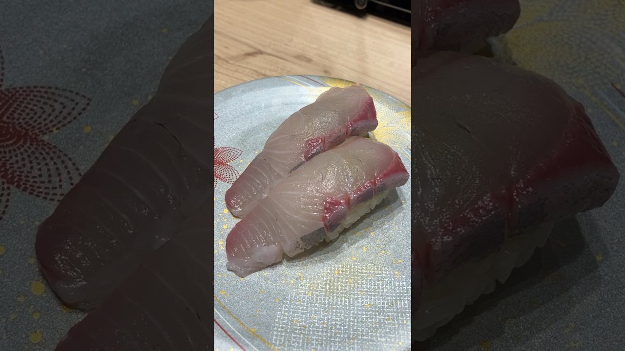 【Greater amberjack sushi】カンパチ【ASMR】