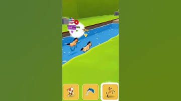 animal shifting transform run