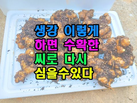 유튜브 미리보기