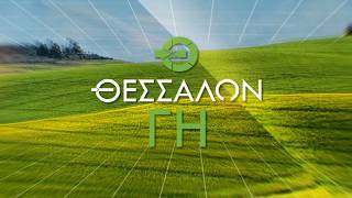 ΣΚΟΡΔΟ ΚΑΙ ΤΙΜΕΣ ΣΤΑ ΣΙΤΗΡΑ_ΓΙΑΝΝΗΣ ΚΟΥΚΟΥΤΣΗΣ 13 07 2026