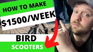 How To Make 50Hour With Bird Scooters 1500 Per Week