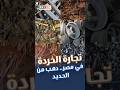 تجارة الخردة في مصر دهب من الحديد