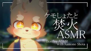 【 furry asmr 】ケモショタと焚火ASMR ／ 朝陽はる 【 ケモノVtuber 】