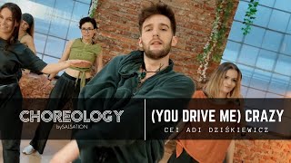 (You Drive Me) Crazy - Choreology By Salsation® Choreography By Cei Adi Dziśkiewicz