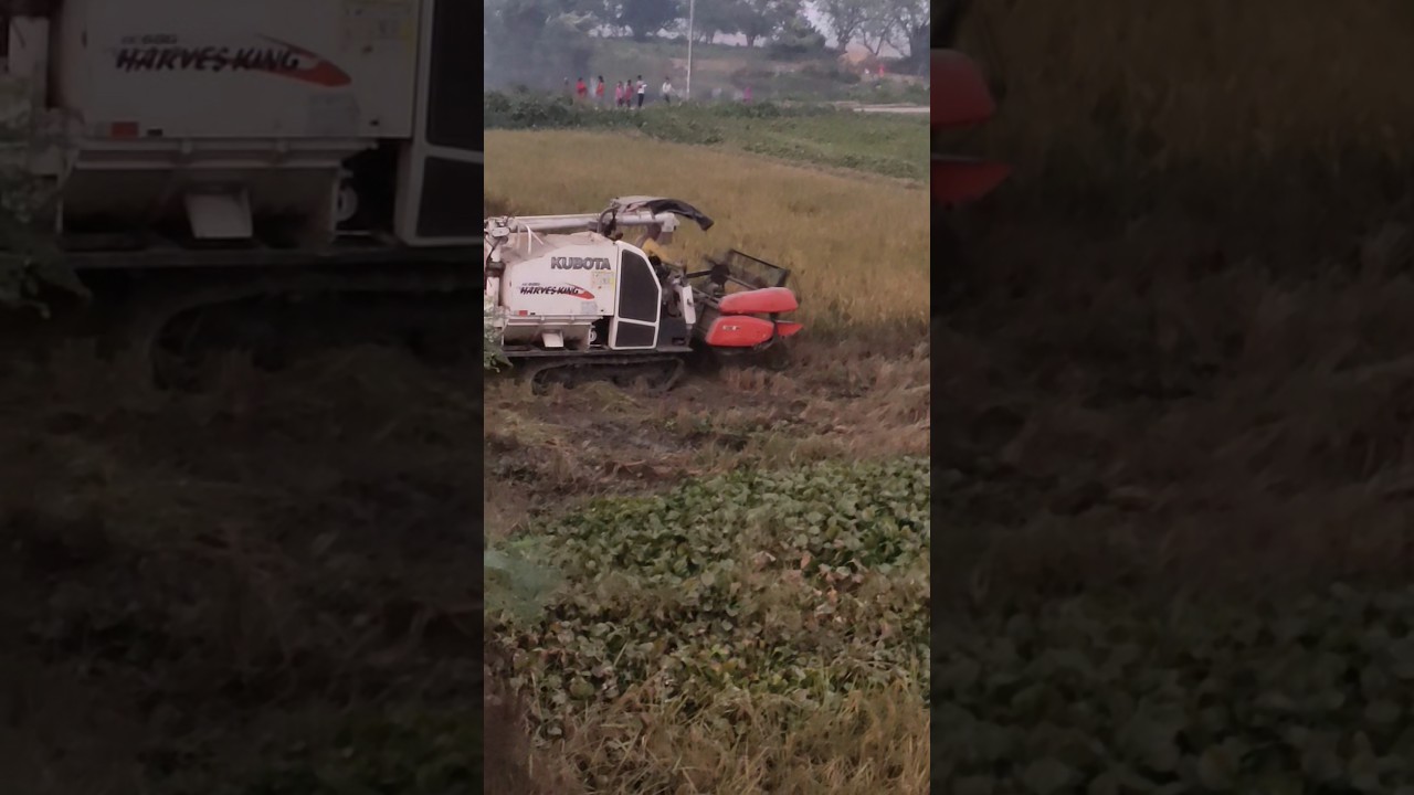 kubota 68G harvestet 🌾❤️👳‍♂️