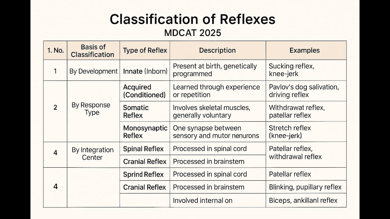 Classify Reflexes - YouTube