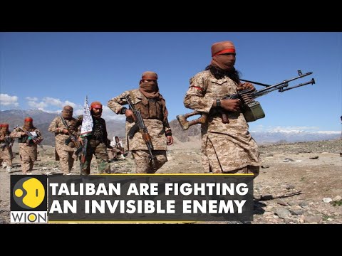 How will Taliban deal with ISIS-K threat? Recent attacks have targeted Talibs | Latest English News