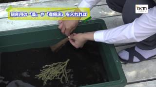 稚魚の飼育には欠かせない「プラスチック製トロ舟」の使い方