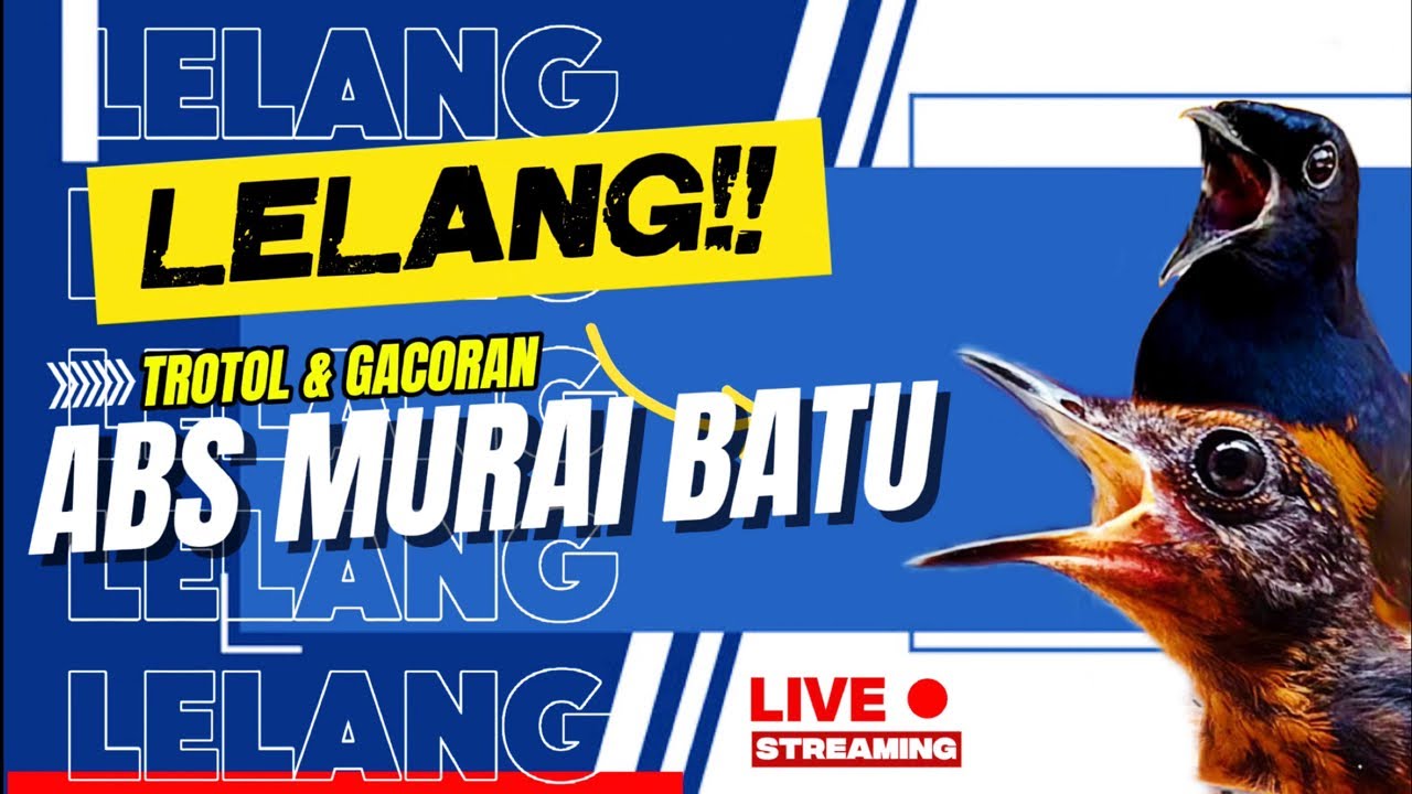 Gass polll lelangan bosskku…!!!