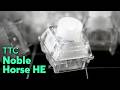 Best 60g Magnetic Switch? TTC Noble Horse HE Sound Test