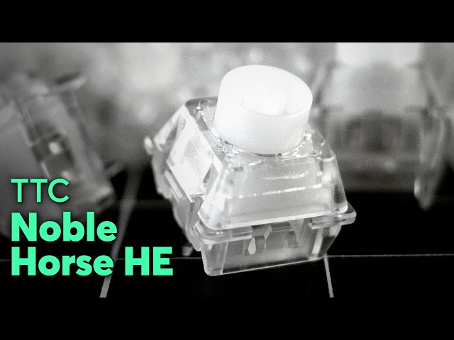 Best 60g Magnetic Switch? TTC Noble Horse HE Sound Test - YouTube
