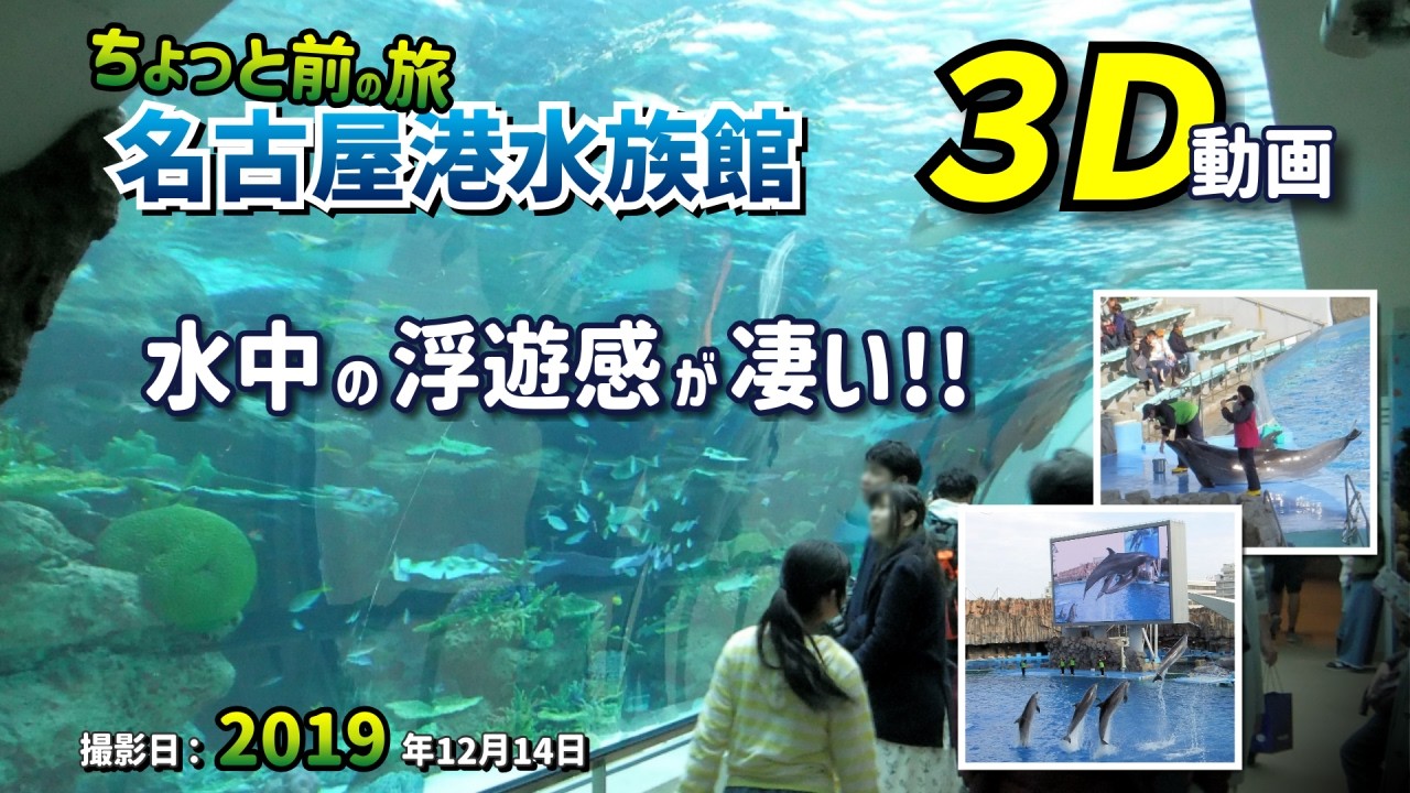 【3D動画 / 3D Video】名古屋港水族館 ちょっと前の旅 水中の浮遊感が凄い!!【愛知県 名古屋市 港区 2019年12月14日】