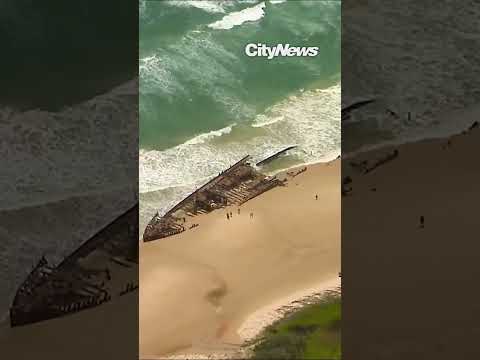 Canadian Woman Found Dead On Australia Beach Surrounded By Dingoes 