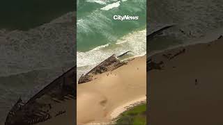 Canadian woman found dead on Australia beach surrounded by dingoes