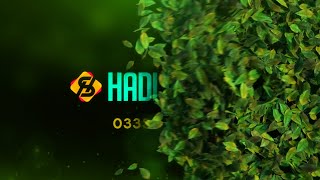 Elegant Leaves Logo Reveal,Hadi Stock, Ae Template, HS 38, Hadi Stocks