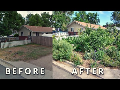 Create Your Own FOOD FOREST In 3 Steps [How To Transform Any Piece of Land Quickly]