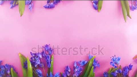 Build Your Own Bulk SMS Sender|Telegram:my911sms