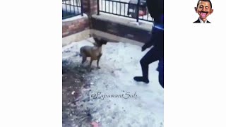 Shot On Iphone Meme Funny Fail