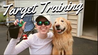 How I train my Guide Dog to Target Objects