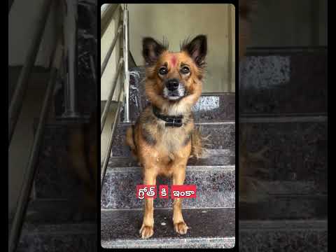 #shorts #youtubeshorts #viral #trending #shortvideo #viralshorts #fyp