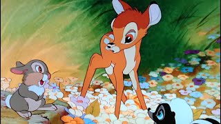 Bambi 🦌 🐇