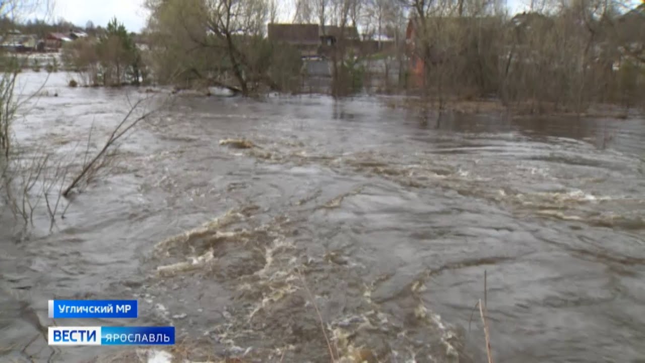 В небольшом водоеме образовавшемся после разлива реки. Разлив реки. Речка разлилась. Разлив на реке Ранова. Ярославль разлив реки.