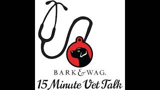 What is your dog thinking? Join a free webinar with Cindy Myers, Animal Intuitive