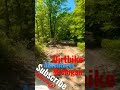 Michigan Outdoors orv trails dirtbike trail rides in northern Michigan #dirtbike #michigan