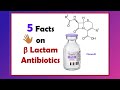 5 facts on beta lactam antibiotics in 2 min antibiotics pharmd pharmacist