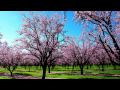 Dinka - Crystal of Life (Original Mix)