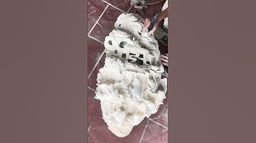 Tác phẩm CÁ CHÉP VƯỢT VŨ MÔN điêu khắc trên vỏ sò hóa thạch