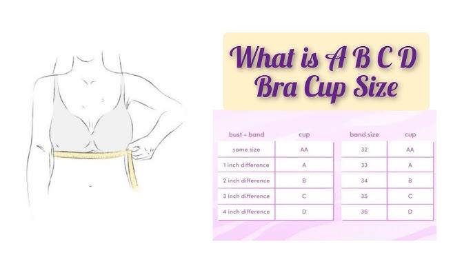 What is A B C D Bra Cup Size  ब्रा कप के बारे में