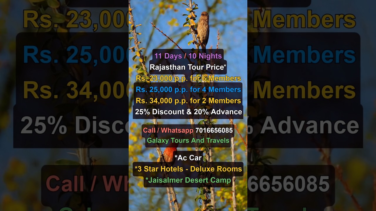 Rajasthan Vacation Manual | Costs, Seasons, Routes, Cities, Cultural Sites & Things To Experience