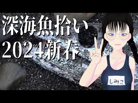 深海魚拾い2024新春