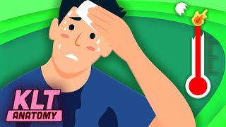 Why Do Humans Sweat?! | Human Body Songs For Kids | KLT screenshot 5