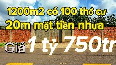 1200m2 có 100m thổ cư mặt tiền nhựa đường 2 làn xe giá rẻ 1 tỷ 750tr thương lượng #batdongsan #dat