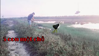 #8 / cuộc sống mưu sinh ngoài đồng bẫy chim đêm/chia sẻ giao lưu