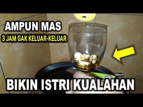 CUKUP  SIUNG BAWANG PUTIH | BIKIN ISTRI MENJERIT AMPUN-AMPUNAN