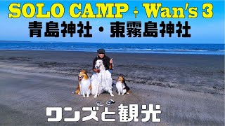 ソロキャンプ＋ワンズ３ 宮崎～鹿児島遠征2000km⑤(青島神社)(東霧島神社)(桝元の辛麺)(帰宅)