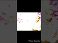 نصرو ماتهمنيش الهدرة يا مرا 