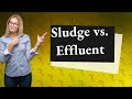 What is the difference between sludge and effluent?