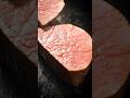 電気毛布でローストビーフは焼けるのか？#shorts #ローストビーフ thumbnail