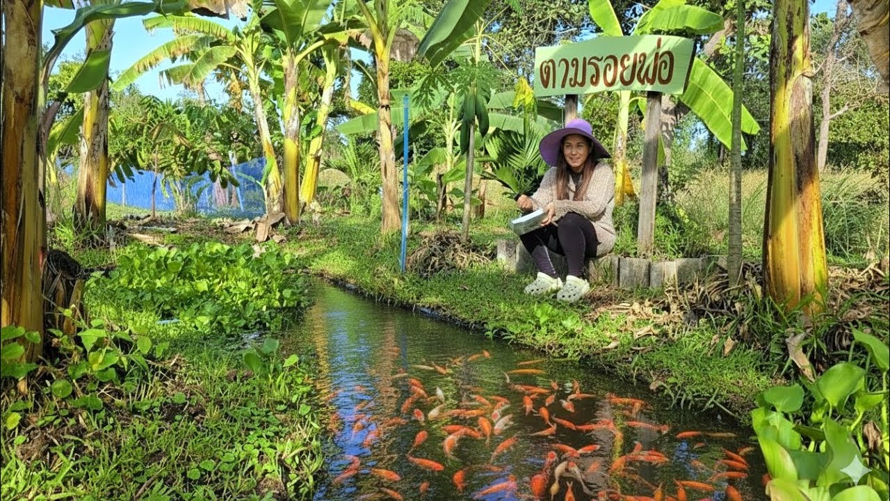 สุดยอดเกษตรพื้นที่น้อยทำแบบผสมผสาน🥦สร้างแหล่งอาหารเป็นของตัวเอง