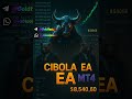 CIBOLA EA MT4 Automated Forex Robot FREE DOWNLOAD الاكسبرت الأكثر ربحا في الفوركس