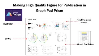 Making High Quality Figure in Graph Pad Prism