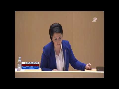ეკა ბესელიას გამოსვლა საქართველოს პარლამენტში ინსპექტორის 2015 წლის ანგარიშთან დაკავშირებით