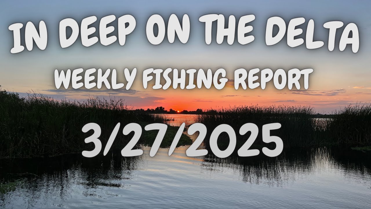 The In Deep On The Delta Fishing Report For 3/27/2025.