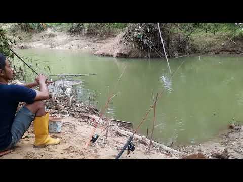 the most effective fishing line