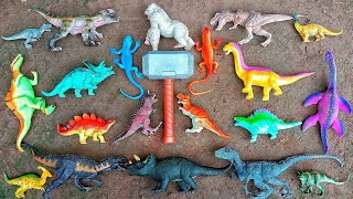Hunting found jurassic world evolution 2: Ankylosaurus, Stegosaurus, Carnotaurus, T-Rex, Spinosaurus