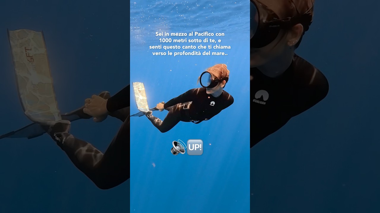 Sapevi che cantano? 🎶🔊 